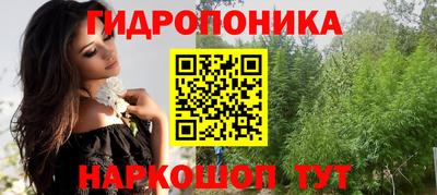 стафф Моздок