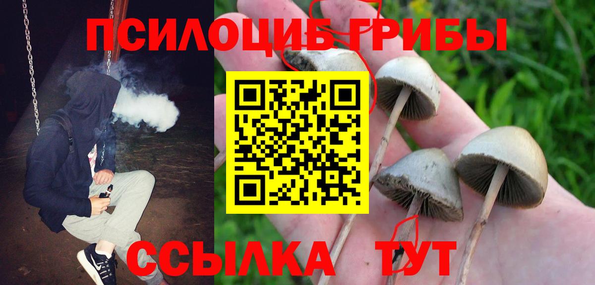 Псилоцибиновые грибы Magic Shrooms  Вход с VPN  Унеча 